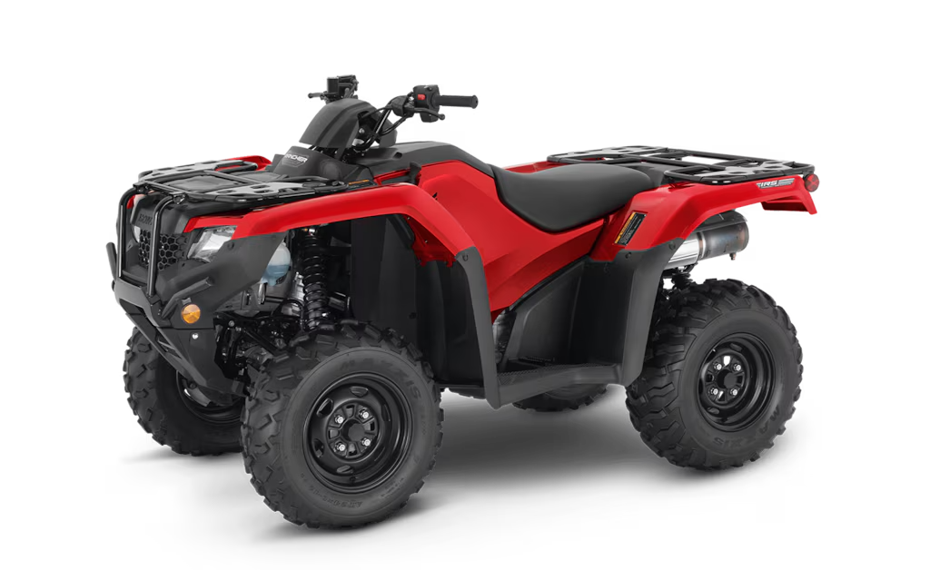Model Image