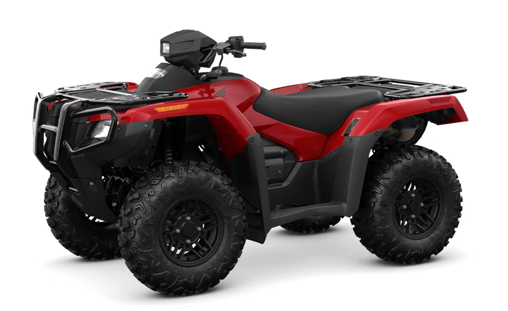 Model Image